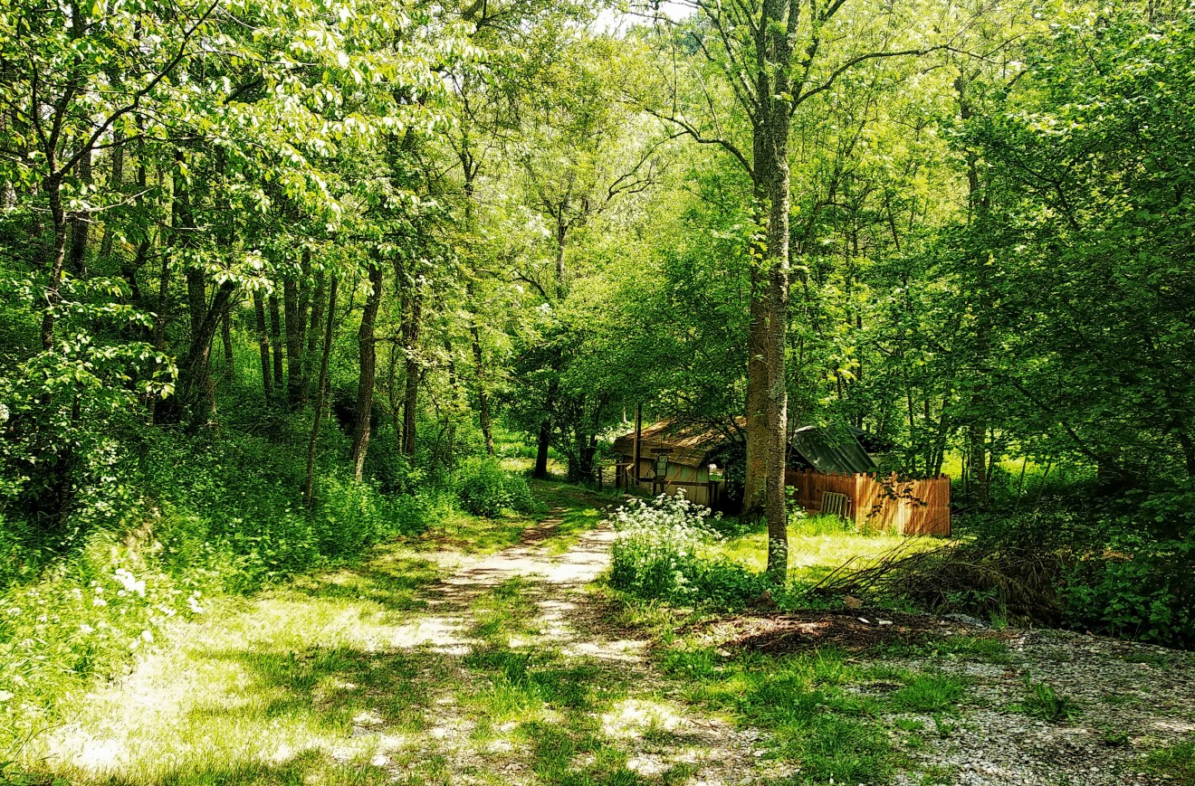 Pilates sur machine cadillac.jpg